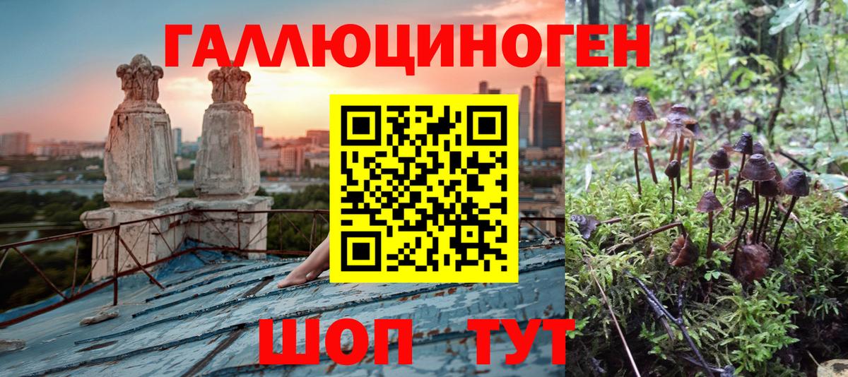 где можно купить   Псилоцибиновые грибы Cubensis  Вход с VPN  Воркута 